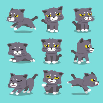 Cartoon Character Cat Poses Set