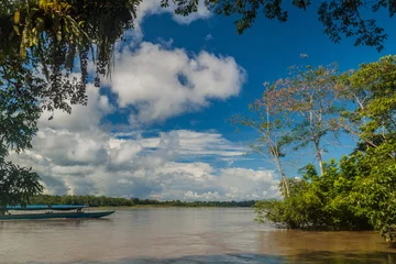 Fototapete Rund Jungle along river Napo, Ecuador © Matyas Rehak