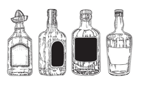 Vector bottles with strong alcohol. Hand drawn whiskey 