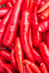Red chilly pepper