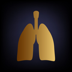 Obraz premium Human organs. Golden style icon