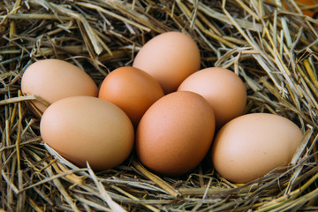 Fresh brown eggs