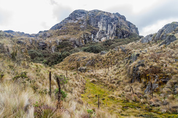 Landscape of National Park Cajas, Ecuador