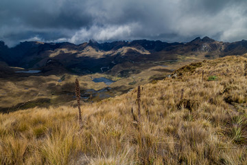 Landscape of National Park Cajas, Ecuador