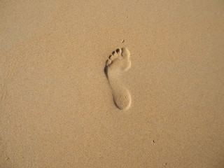 Fototapeta na wymiar footprint on the beach sand with nature light