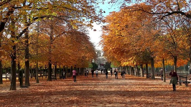 Luxembourg gardens in Paris. France. Jardin du Luxembourg. 