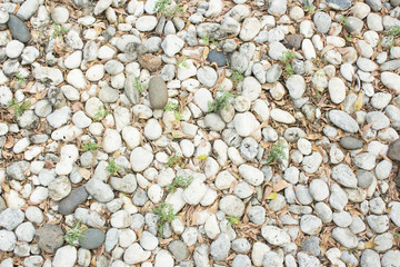 wild stone floor