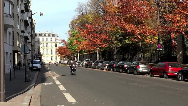 Luxembourg gardens in Paris. France. Jardin du Luxembourg. 