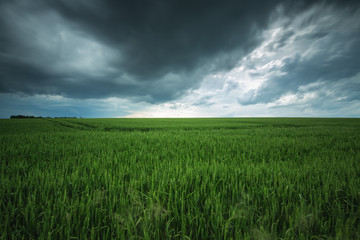 Green field and cloudy sky, long exposure