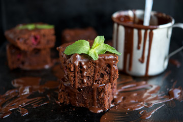 Chocolate biscuit with mint