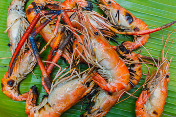 group Grilled giant freshwater prawn on green banana leaf background