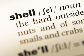 Close up of old English dictionary page with word shell