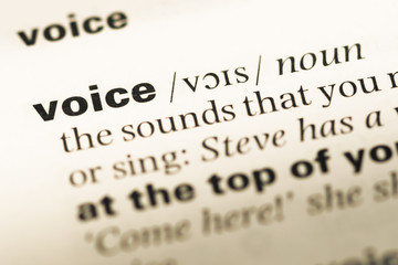 Close up of old English dictionary page with word voice