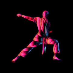 Martial arts abstract silhouette on black background 