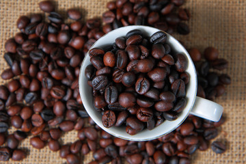 Coffee Beans
