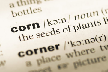 Obraz premium Close up of old English dictionary page with word corn