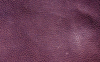 Abstract magenta leather texture.