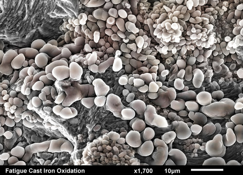 Cast Iron fractured surface. Fatigue striations under iron oxide corrosion imaged in a scanning electron microscope