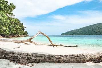 A beach in South-east Asia