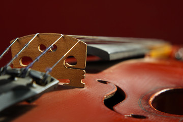 the strings of the violin closeup