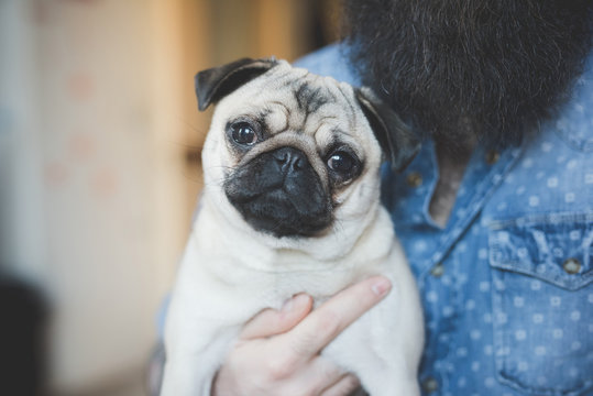 Young bearded man carrying dog in arms
