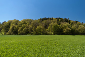 Auf dem Altmühltal-Panoramaweg