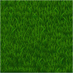 Fototapeta na wymiar Green grass realistic textured background isolate white background, vector illustration