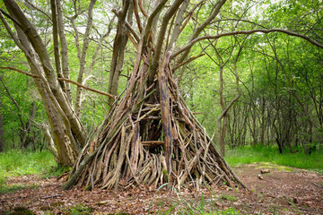 Cabane bois forêt branche aventure jeu construire enfant tipi  © shocky
