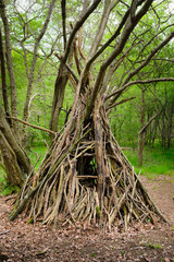 Cabane bois forêt branche aventure jeu construire enfant tipi  © shocky