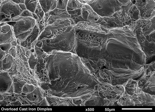 Cast Iron fractured surface. Dimple overload imaged in a scanning electron microscope