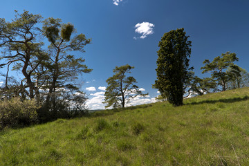 Auf dem Altm&uuml;hltal-Panoramaweg