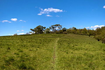 Auf dem Altm&uuml;hltal-Panoramaweg