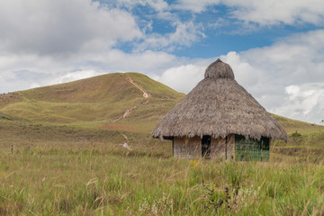 Fototapeta na wymiar Simple house in an indigenous village in Gran Sabana region of Venezuela