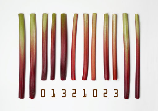 Barcode made with rhubarb sticks