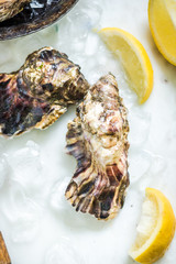 freshly catch oysters with lemon slices and ice