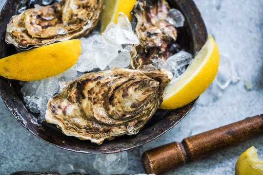 freshly catch oysters with lemon slices and ice