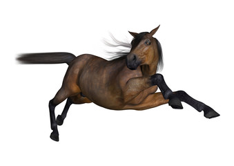 3D Rendering Bay Horse on White