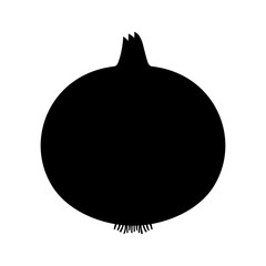 Onion, shade picture