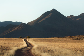 Route sous le couché de soleil