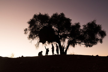 La nuit tombe en Namibie