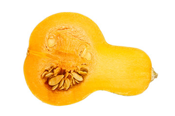 Butternut squash isolated on white background