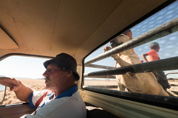 Le fermier et son chien sur la route