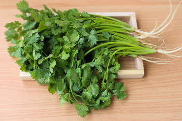 coriander leaves with wooden background