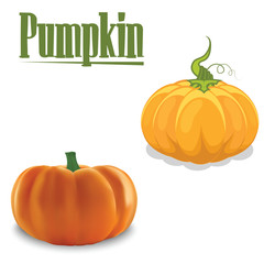 Pumpkin in two types of vector