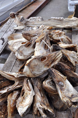 heads stockfish norway