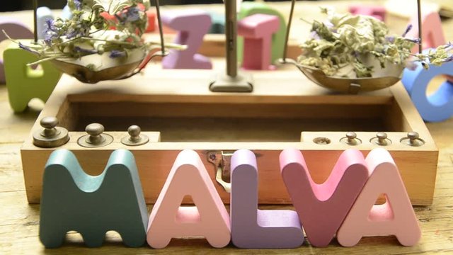 Malva sylvestris Мальва лесная خبازة برية B&uuml;y&uuml;k ebeg&uuml;meci R&ouml;dmalva Almindelig Katost Mallow Wilde Malve Ślaz dziki Sl&eacute;z lesn&iacute; Grande mauve Erdei m&aacute;lyva ウスベニアオイ Kiiltomalva پنیرک قرمز