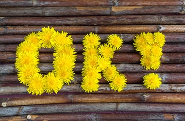 word "ok" of yellow dandelionsokay