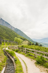 Algund, Dorf, Waalweg, Algunder Waalweg, Apfelbaum, Obstbauer, Apfelblüte, Wanderweg, Spazierweg, Vinschgau, Südtirol Frühlingsferien, Italien