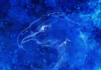 drawing of Bird. computer collage and color structure.