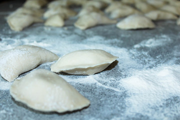 Fototapeta na wymiar the dumplings made with love